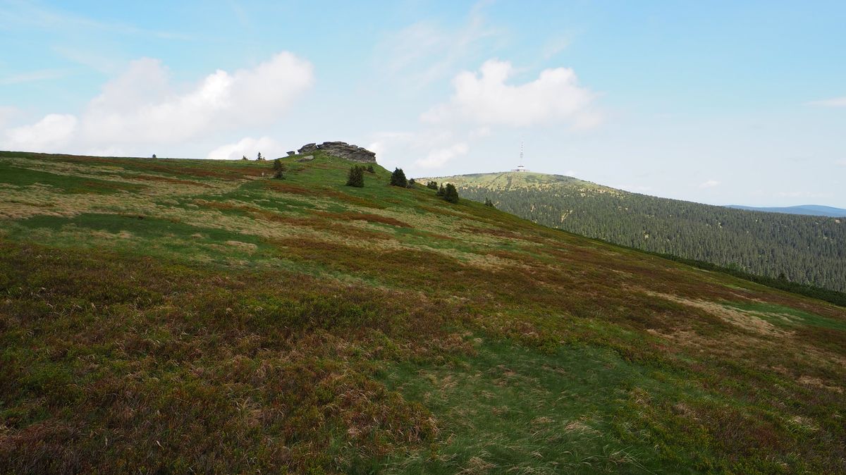 Horské ekosystémy se kvůli oteplování mění pětkrát rychleji než lesy a louky
